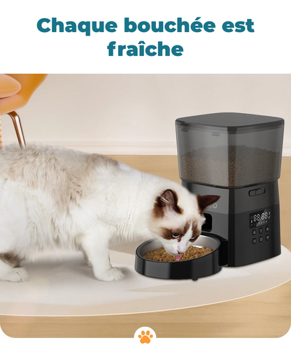 Mangeoire automatique pour animaux de compagnie 2L