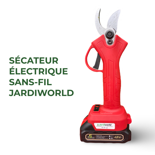 Sécateur électrique sans fil JARIWORLD (+2 batteries)